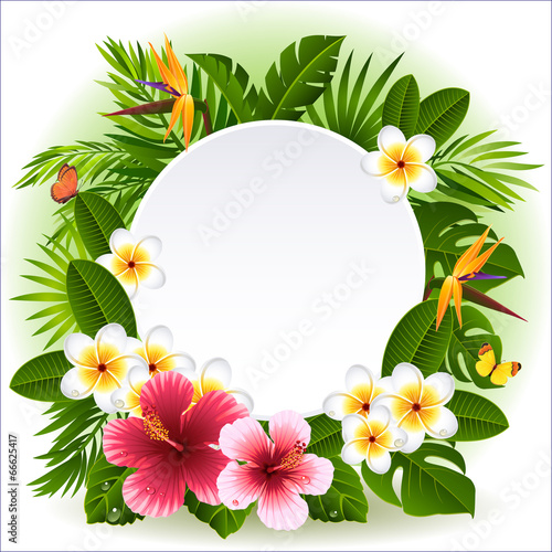 Tropical flowers