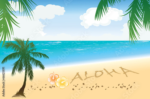 Aloha Hawaii beach travel concept