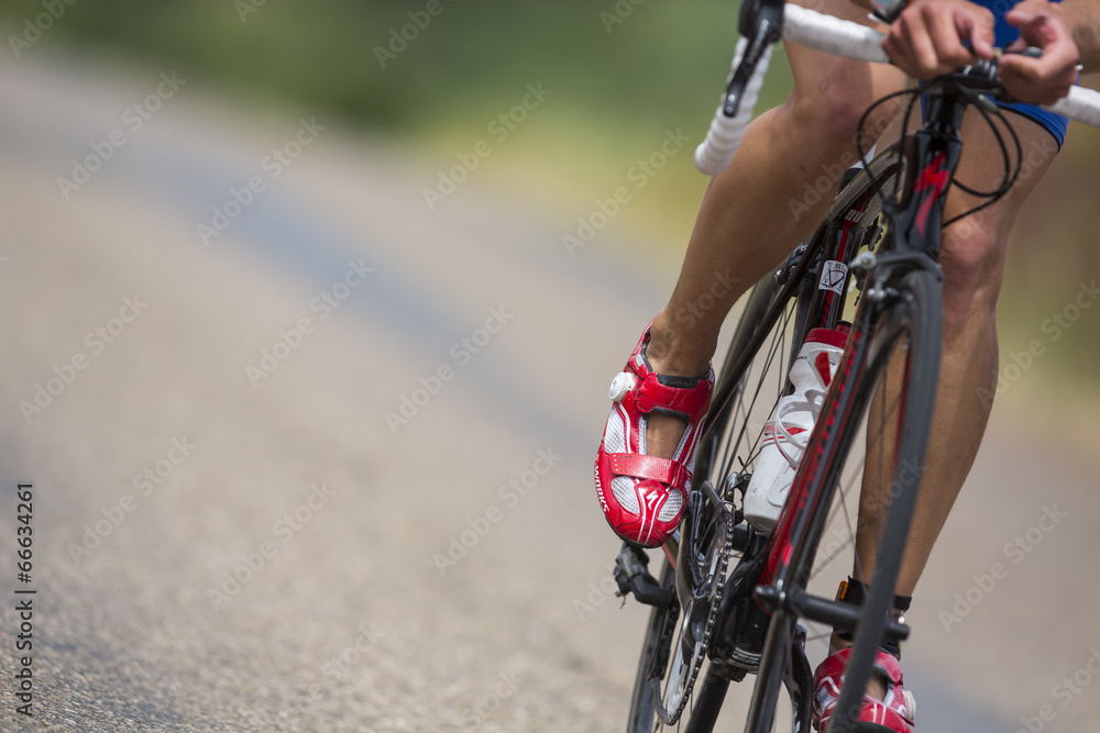 Fototapeta premium velo