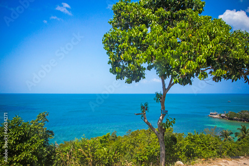 Fototapeta Naklejka Na Ścianę i Meble -  Tropical beach at Koh Phangan - nature background. Thailand