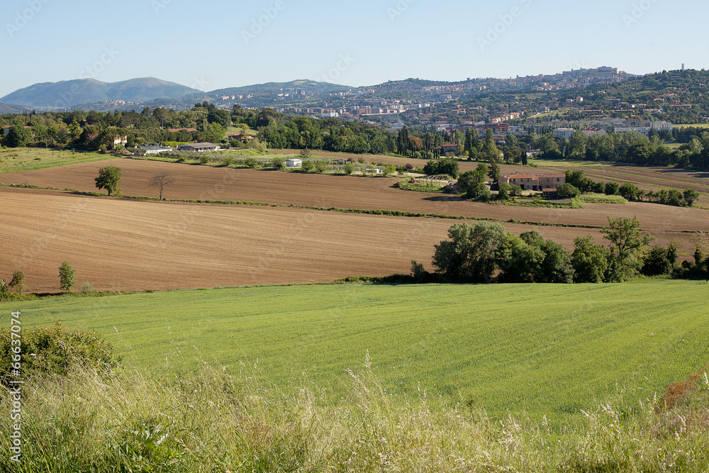 Fototapeta premium Farmland Perugia