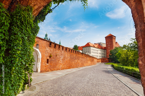 Wawel Royal Castle view from the gates #66639097
