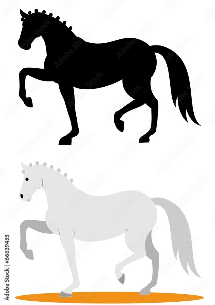 馬場馬術を演じる馬 馬場馬術を演じる馬
