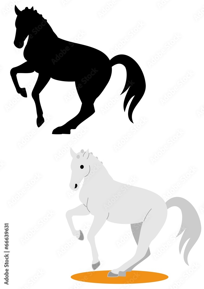 Obraz premium 馬場馬術を演じる馬