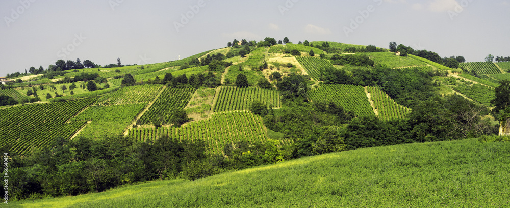 Oltrepo Pavese vineyards panorama