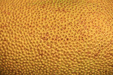Texture of jackfruit