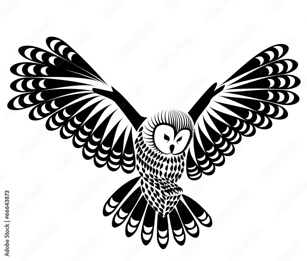 Fototapeta premium owl bird vector for mascot or tattoo design or idea of logo