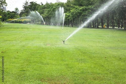 sprinkler in garden