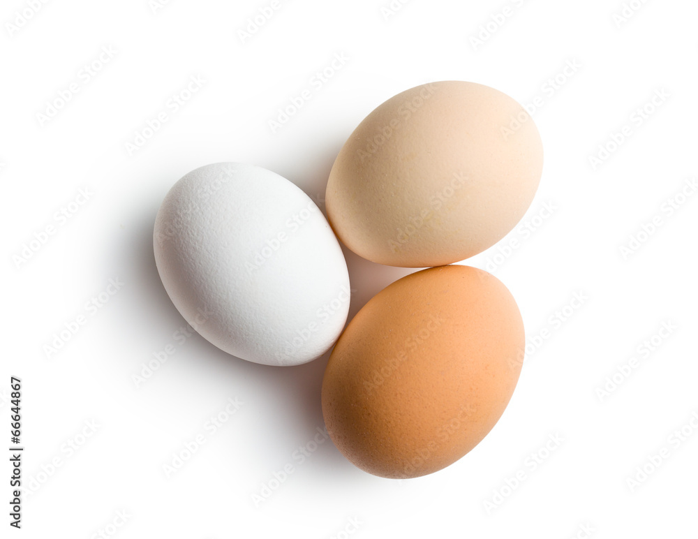 fresh eggs fresh eggs