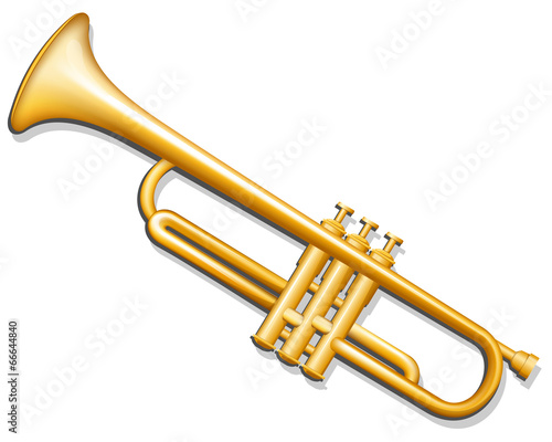 Trumpet. Brass wind musical instrument
