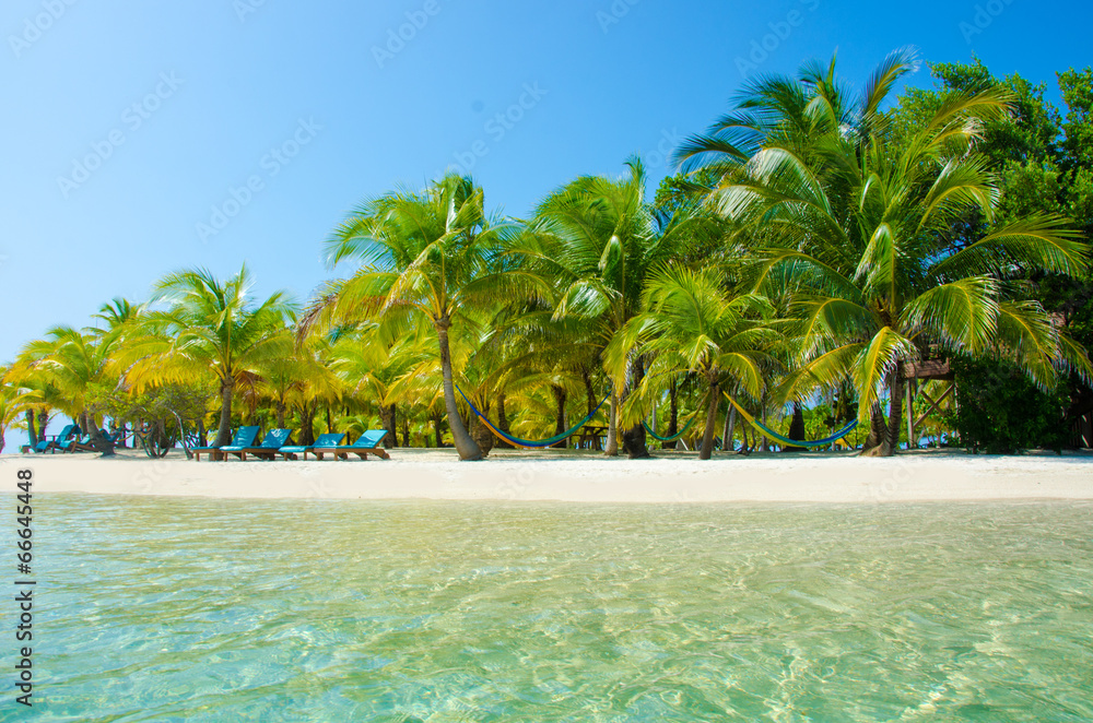Obraz premium Paradise Beach on beautiful island South Water Caye - Belize