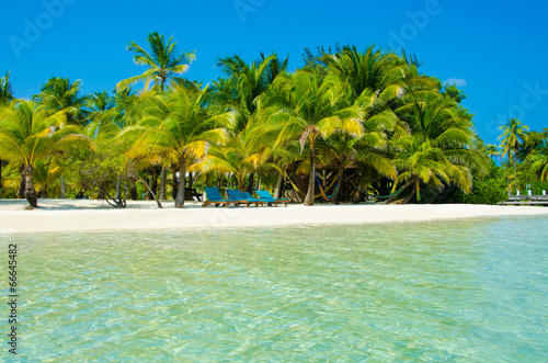 Paradise Beach on beautiful island South Water Caye - Belize © Simon Dannhauer