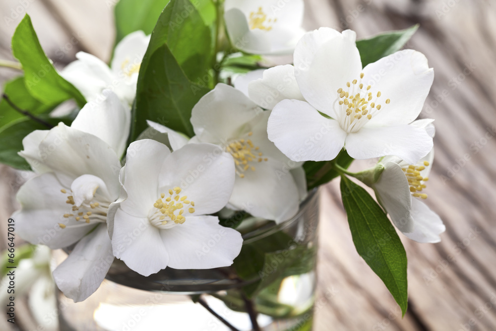 Fototapeta premium Jasmine flowers over old wooden table.