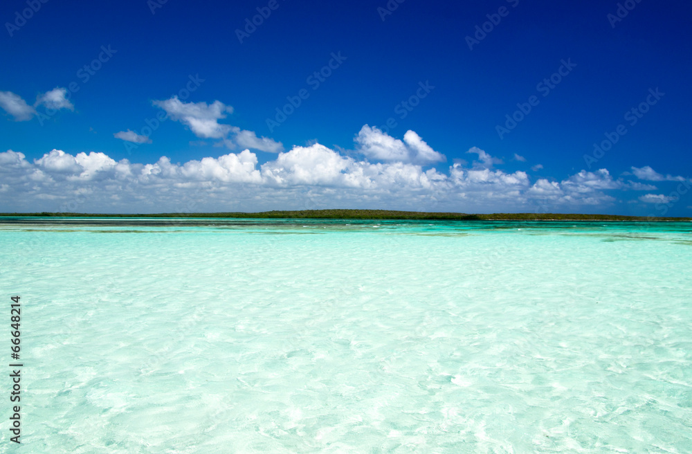 Fototapeta premium tropical sea