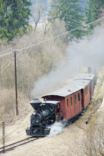 steam train, Ciernohronska Railway, Slovakia photo