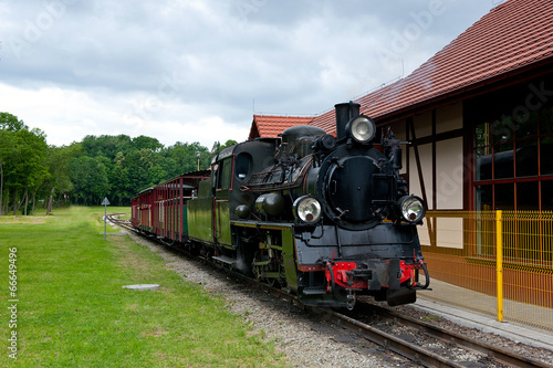 narrow-gauge railway locomotive