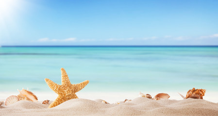 Summer beach background