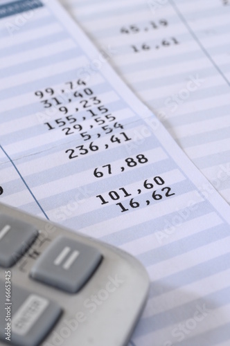 Salary payroll detail