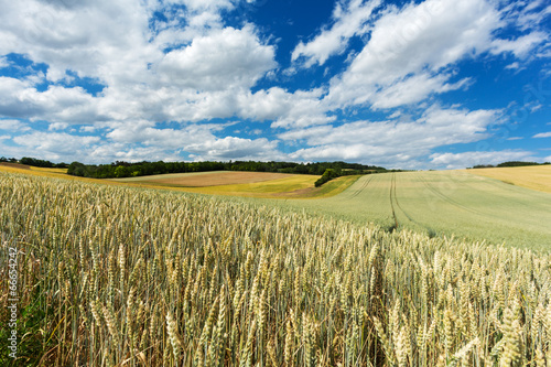 Landschaft Landwirtschaft