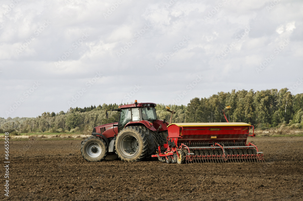 Obraz premium On the field.