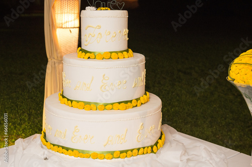 Cake designer torta  di matrimonio photo