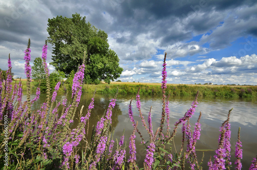 Sommertag am Fluß photo