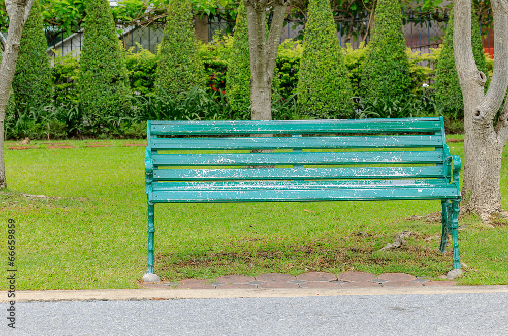 green old bench park for seating with grass bush and trunk