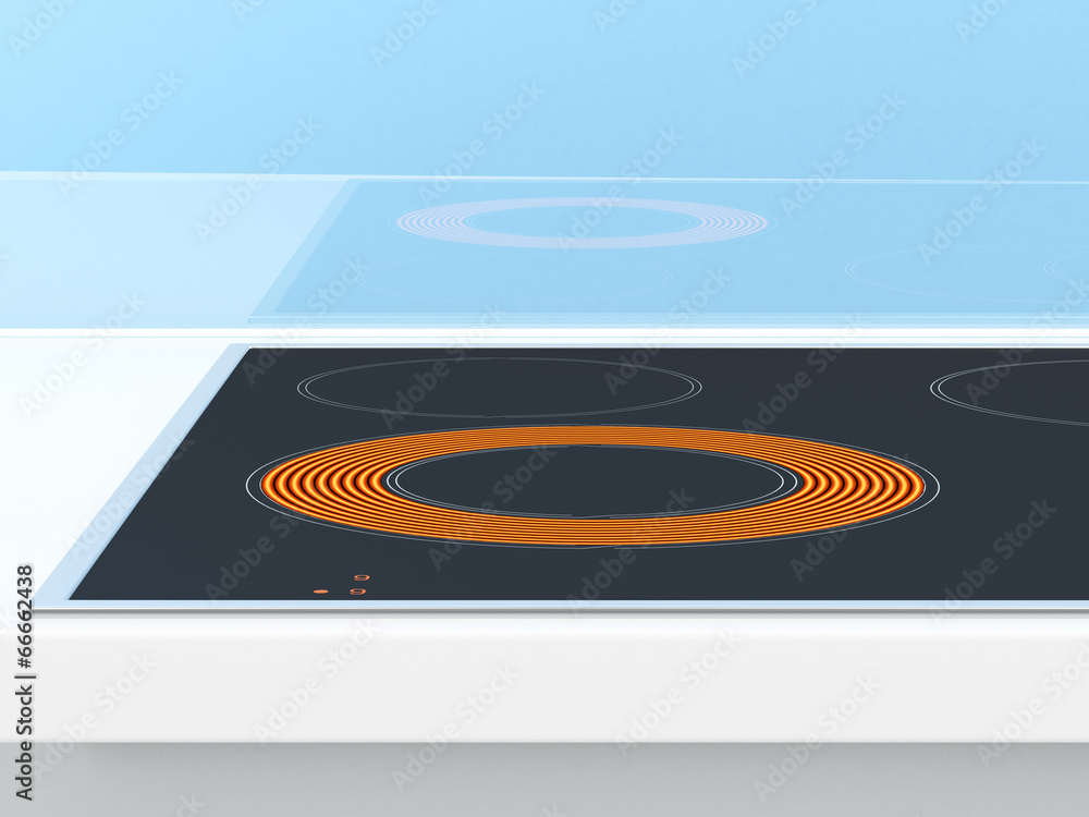 Obraz na plátně Induction stove