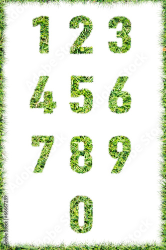 letter numbers made set green grass isolated