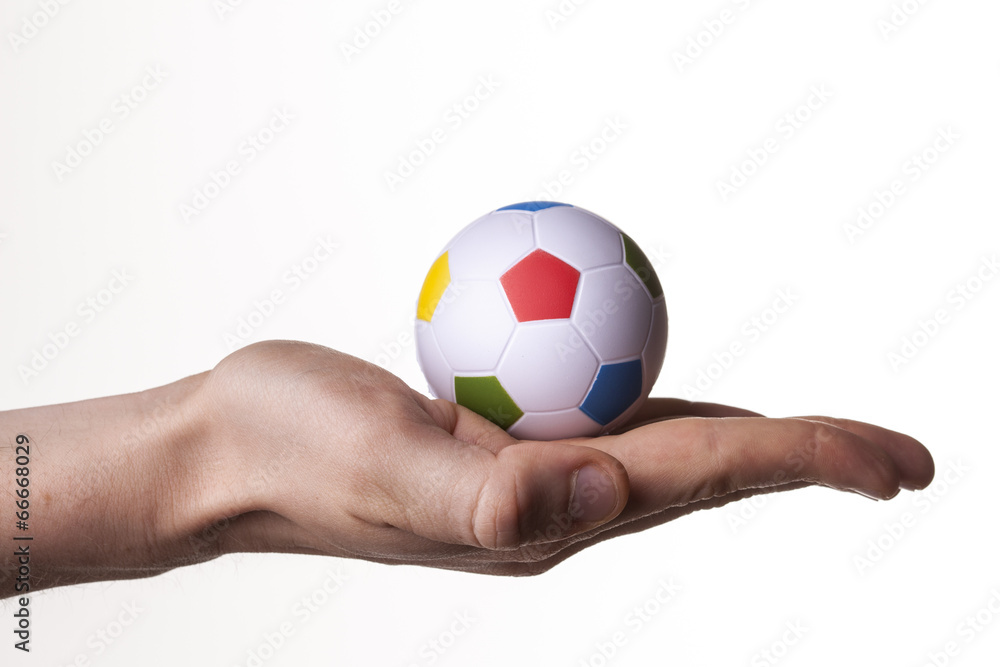 Fototapeta premium micro pallone