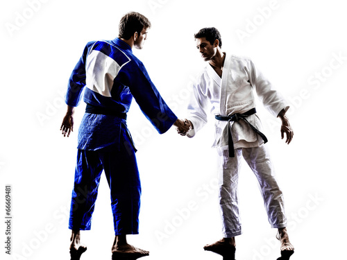 judokas fighters fighting handshake men silhouette
