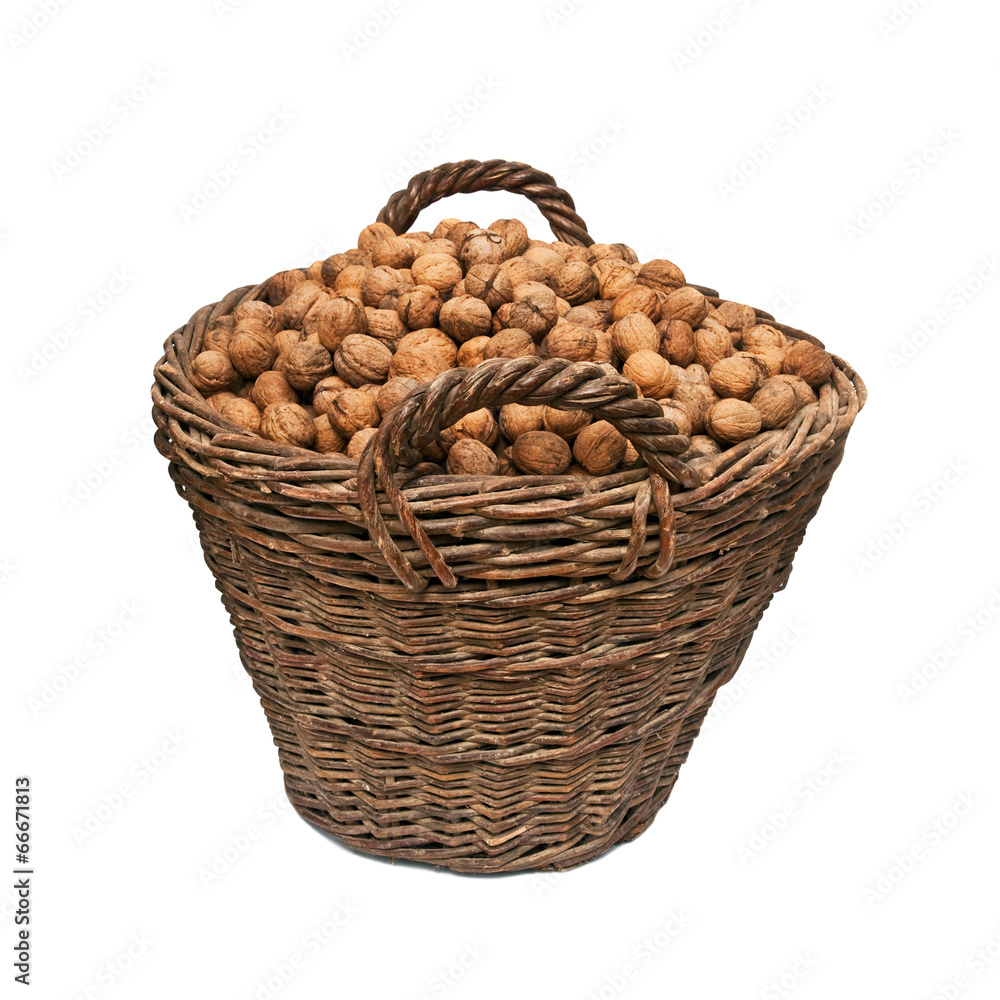 basket with nuts