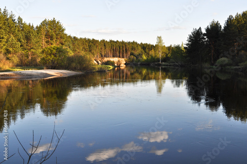 May forest landscape of the river.