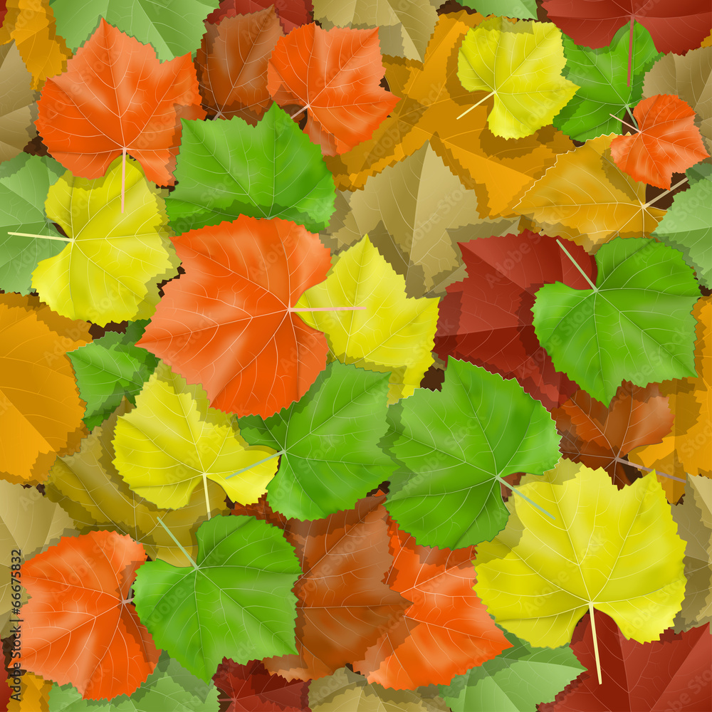 Vector seamless with autumn many-colored leaves
