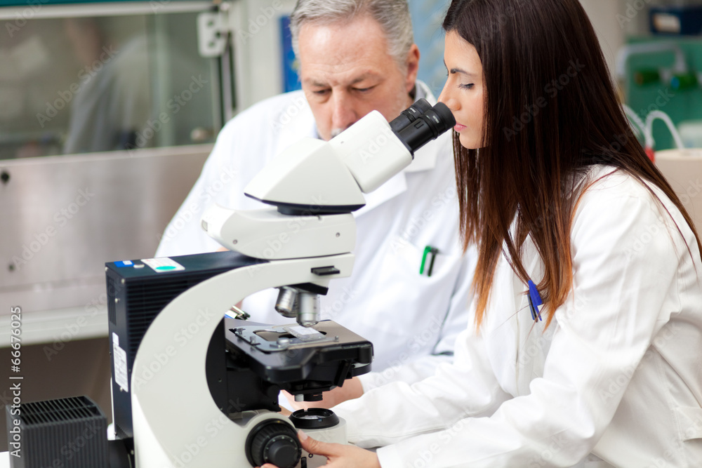 Scientists conducting research looking through microscope Scientists conducting research looking through microscope