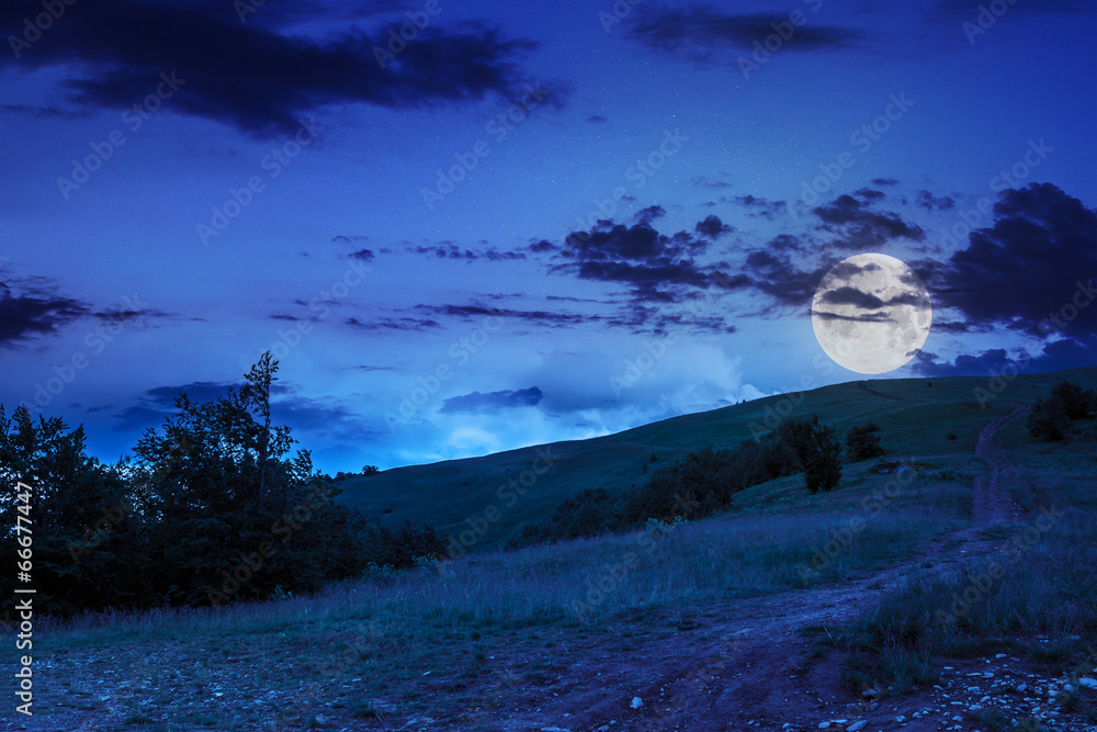 path on hillside meadow in mountain at night