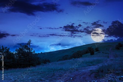 path on hillside meadow in mountain at night