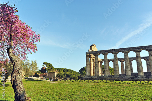 I Templi di Paestum photo