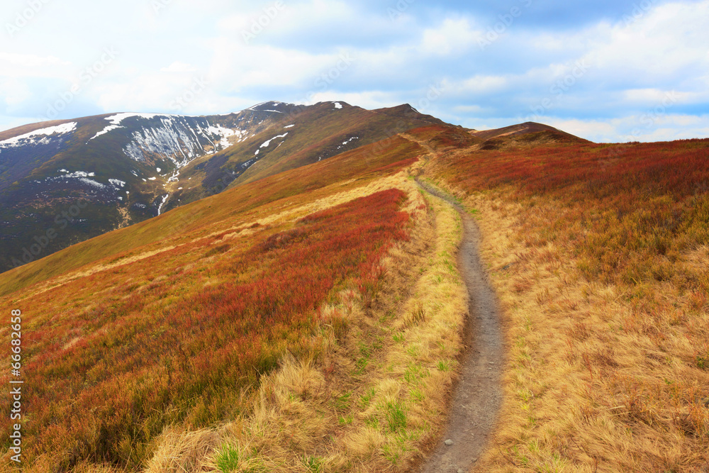 Pathway among nice meadow on mountain's slope Pathway among nice meadow on mountain's slope