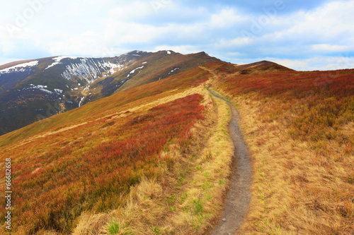 Pathway among nice meadow on mountain's slope © Pavlo Klymenko