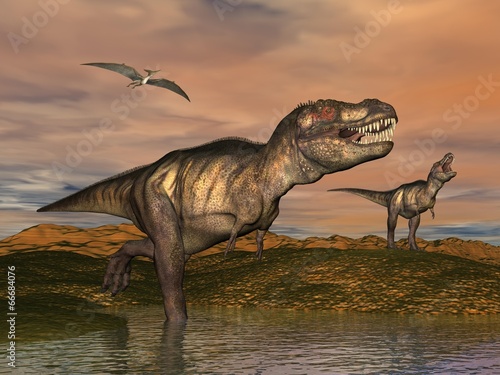 Fototapeta Naklejka Na Ścianę i Meble -  Tyrannosaurus rex dinosaurs - 3D render