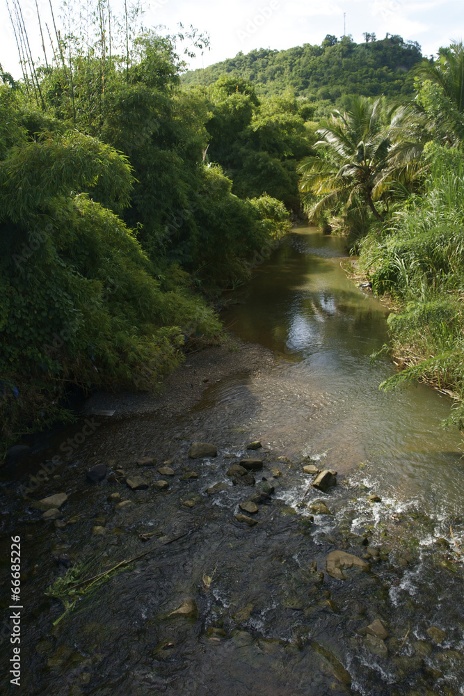 Saint Lucia Tropical River Nature Caribbean 02