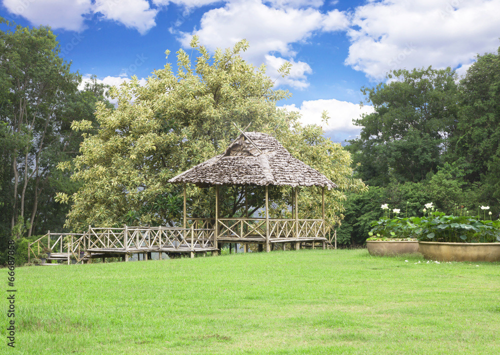 Beauty of nature and hut in garden park Beauty of nature and hut in garden park