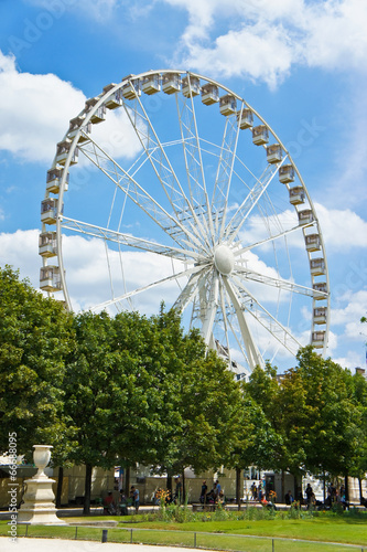Ferris Wheel in the Tuileries Gardens, Paris photo