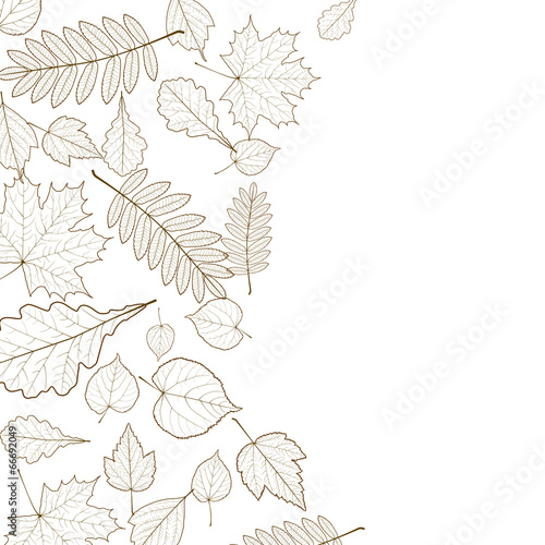 Autumn leaf skeletons template.