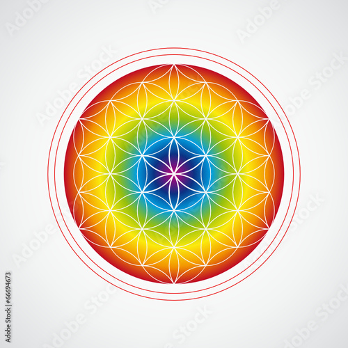 blume des lebens bunt