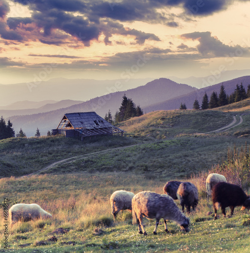 Colorful autumn landscape in mountain village. Sunset