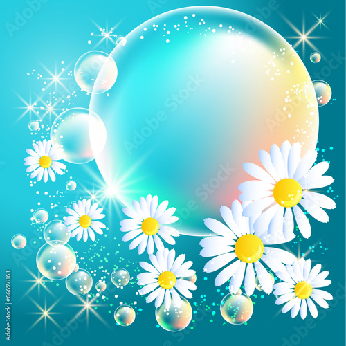 Bubbles and daisy