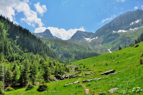 Mountain path and beautiful view of Carpathians © Dan