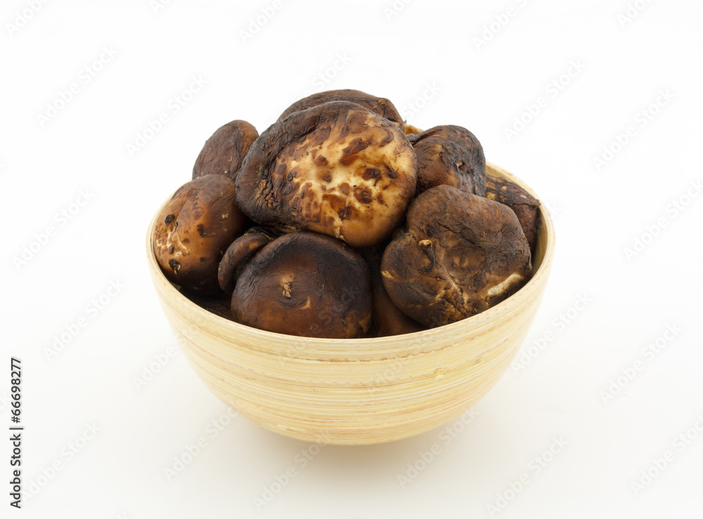 shiitake mushroom on white background shiitake mushroom on white background